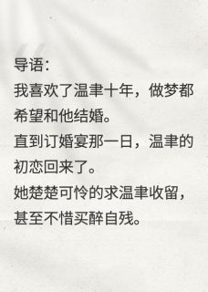 温聿林枝然小说章节目录阅读-岁岁不心碎在哪免费看