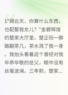 作者锦字流年写的入赘千金被退婚后我登顶豪门小说大结局全章节阅读