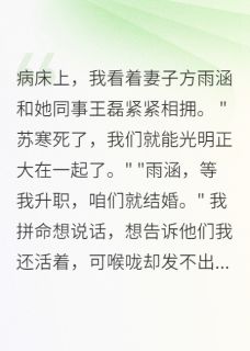 妻子出轨,我选择了她妹妹小说百度云完整章节列表免费阅读