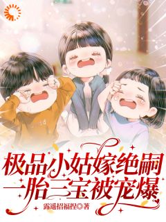 小说穿成草包：我怎么一下变锦鲤了主角为时念念时大文免费阅读