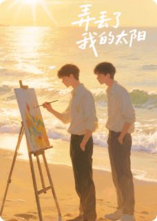 弄丢了我的太阳程砚苏予白全本小说（弄丢了我的太阳）全章节小说目录阅读