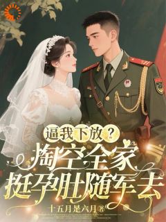 十五月是六月写的小说逼我下放？掏空全家挺孕肚随军去桑榆晚宴回全文阅读