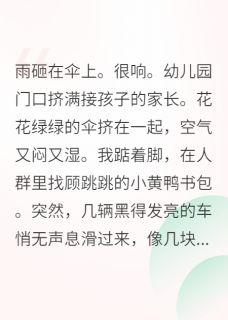 陆沉顾跳跳带球跑后遇上了顶级豪门完结版小说全文免费阅读-欧迈阅读网