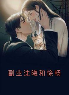 抖音小说副业沈曦和徐畅主角徐畅王韬全文小说免费阅读