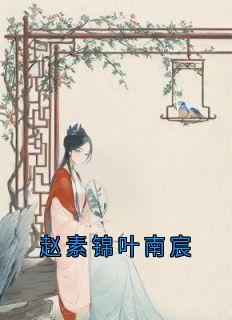 爆款小说赵素锦叶南宸-主角赵素锦叶南宸在线阅读
