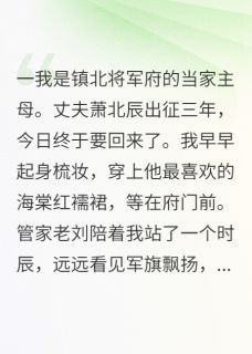 苏念萧北辰完整版将军归来带回一个穿越女全文最新阅读-欧迈阅读网