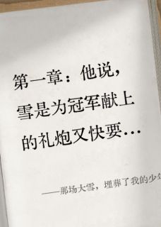 那场大雪，埋葬了我的少年无广告阅读 陈烨苏念陆风免费在线阅读-欧迈阅读网
