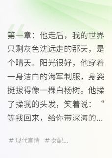 沈远小蹊我守着他的微信,等绿色的点亮起完结版小说全文免费阅读