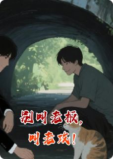 （全本）别叫老板，叫老攻主角林言陆承全文目录畅读