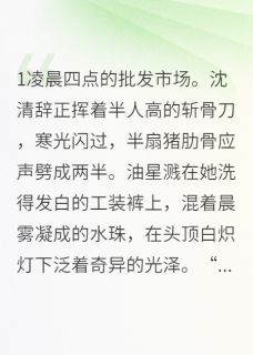 总裁的五花肉驯养手册在线阅读 沈清辞陆知衍免费小说精彩章节