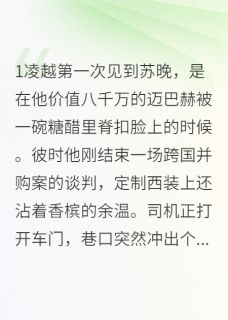 苏晚凌越是什么小说免费版阅读抖音热文