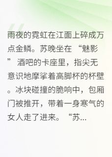 沉沦的棋局苏晚沈知珩顾曼芝-小说未删减阅读-欧迈阅读网