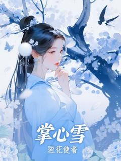 林如雪沈如画掌心落雪时完结版小说全文免费阅读