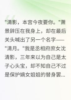 良心推荐被太子毁掉后十年我成他的意难平小说试读