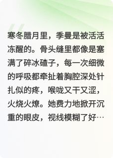 世子爷,您的追妻火葬场请签收小说(完结)-季曼聂桑榆无删减阅读