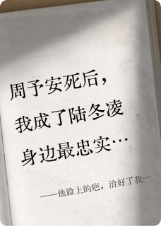 他脸上的疤，治好了我的替身瘾【全章节】陆冬凌顾清辞完结版免费阅读-欧迈阅读网