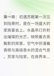 海棠未眠,泪已干【全章节】苏眠陆景完结版免费阅读-欧迈阅读网