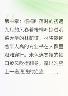 花开半夏,爱已凋零林晓筱苏然无广告在线阅读-欧迈阅读网