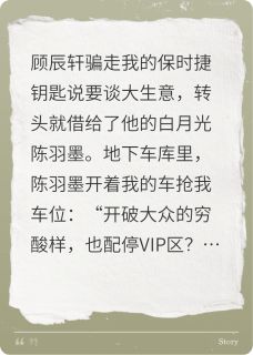 谁动了我的车(新书)小说_陈羽墨顾辰轩阅读-欧迈阅读网