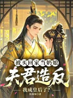 被买回家当奶娘,夫君造反我成皇后了?叶弯林安远-小说未删减阅读