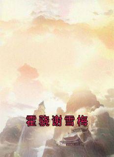 【新书】霍骁谢雪梅主角谢雪梅霍骁全文全章节小说阅读-欧迈阅读网