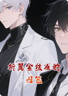 好文热推小说折翼金丝雀的囚笼主角盛屿沈澈全文在线阅读