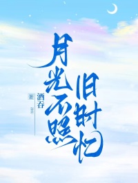 老书虫力荐月光不照旧时忆免费无弹窗阅读
