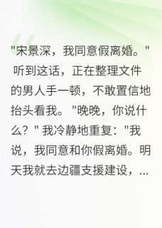 【热文】首长老公假离婚我立马同意去边疆主角晚晚宋景深陈远航小说全集免费阅读