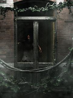 爆款小说妻子和金毛一起做瑜伽，我直接离婚在线阅读-陈雨萱林浩然免费阅读-欧迈阅读网