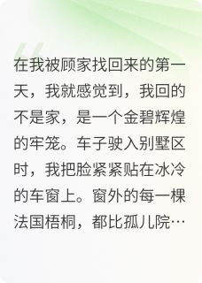 好文热推小说真假千金,破产之后见人心主角顾梦瑶顾晚情顾子昂全文在线阅读