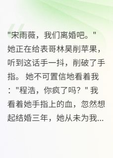 老婆心里只有表哥，离婚三年悔疯小说(连载文)-程浩苏晴林昊无广告阅读