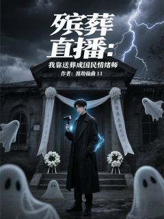 殡葬直播：我靠送葬成国民情绪师苏默林玥-渡劫仙曲11小说