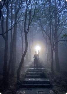 文明的哭泣引路人姜澍姜玥无广告在线阅读