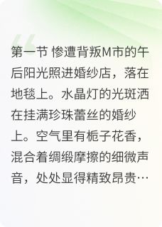 退婚后沈小姐杀疯了by千霓裳曲免费阅读小说大结局