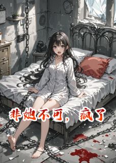 知乎小说非她不可,疯了主角是苏晚陆䂙全文阅读-欧迈阅读网