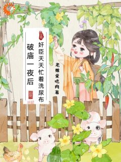 宋刀刀江寒钊完整版破庙一夜后，奸臣天天忙着洗尿布全文最新阅读