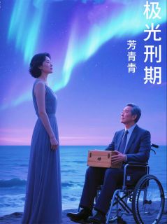 强烈推荐极光刑期苏婉顾云深沈妍在线阅读