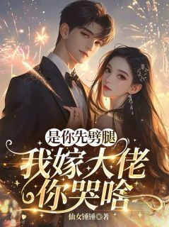 是你先劈腿,我嫁大佬你哭啥?小说免费版阅读抖音热文-欧迈阅读网