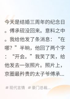 傅承砚沈放主角小说离婚后京圈少爷跪求复婚抖音文免费阅读全文