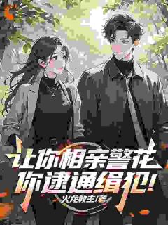 走错相亲桌,我顺手抓了个通缉犯无广告阅读 陆诚苏清舞免费在线阅读