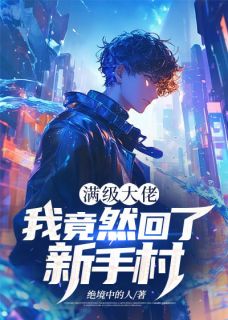精品小说满级大佬:我竟然回了新手村全文目录畅读