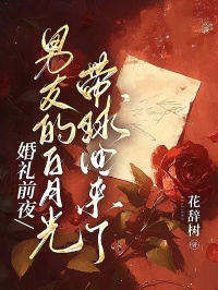高质量小说婚礼前夜，男友的白月光带球回来了在线试读