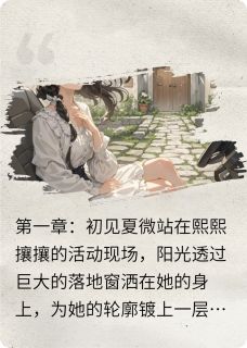 (精品)代码与温柔小说