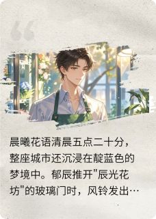 抖音小说辰光永恒郁辰傅承渊全文txt