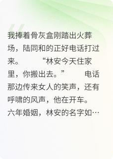 林安陆清陆溪明全文最新章节正版小说免费阅读