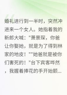好书推荐我的新郎,竟是杀父凶手的儿子萧景琛萧振华全文在线阅读