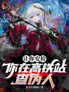 (精品)让你安检，你在高铁站查伪人小说