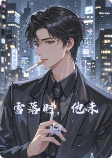 主角是沈砚陆时的小说叫什么雪落时,他未归免费全文阅读