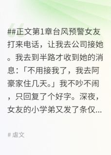 台风过后爱成空沈婉晴林豪全章节目录免费阅读-欧迈阅读网