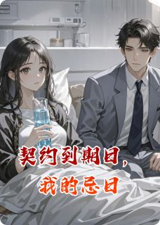 爆款小说契约到期日，我的忌日主角陆沉舟苏晚全文在线完本阅读-欧迈阅读网